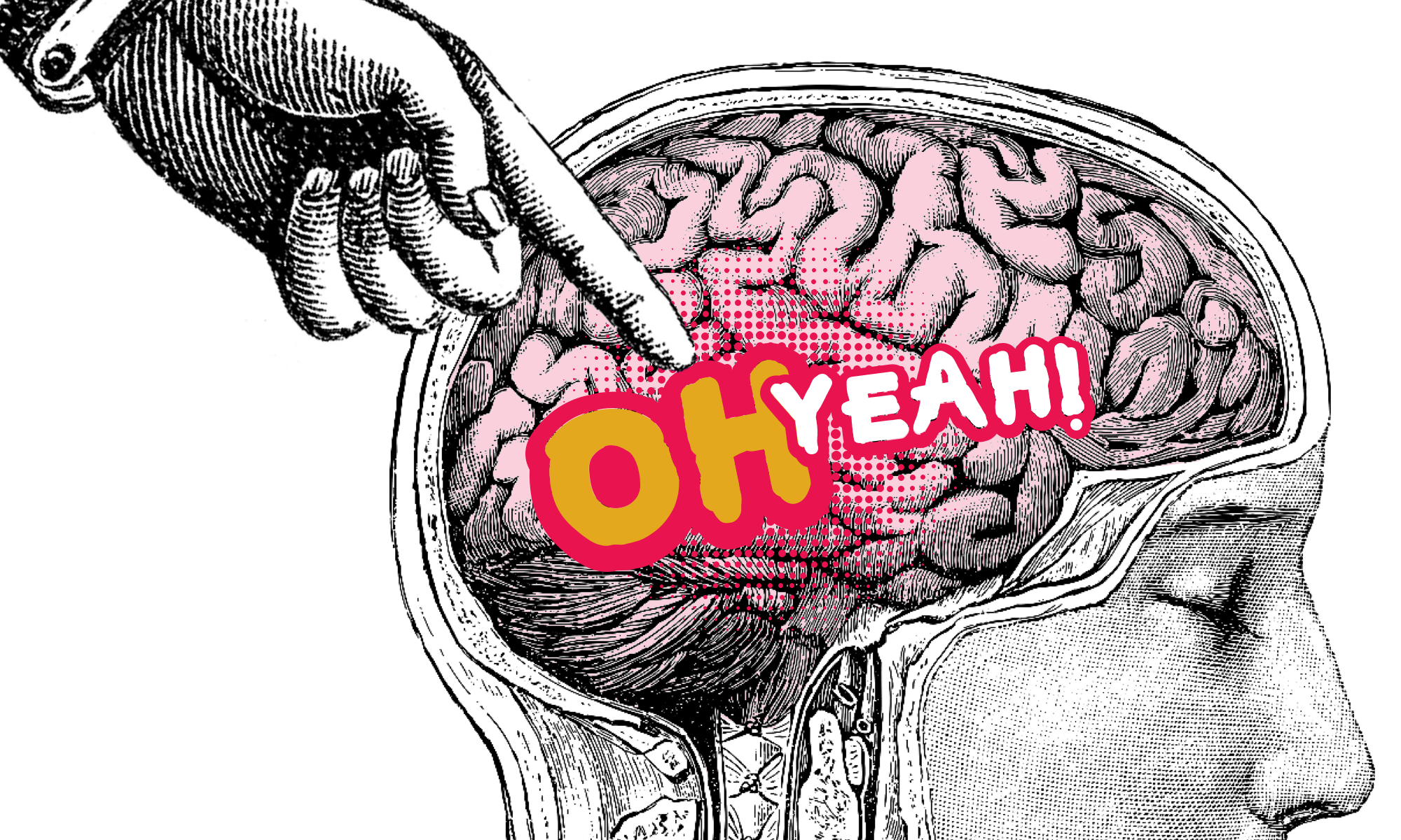 A vintage medical illustration of the brain in a human head, with a finger poking it, and a very enthusiastic "OH YEAH!" overlaid.