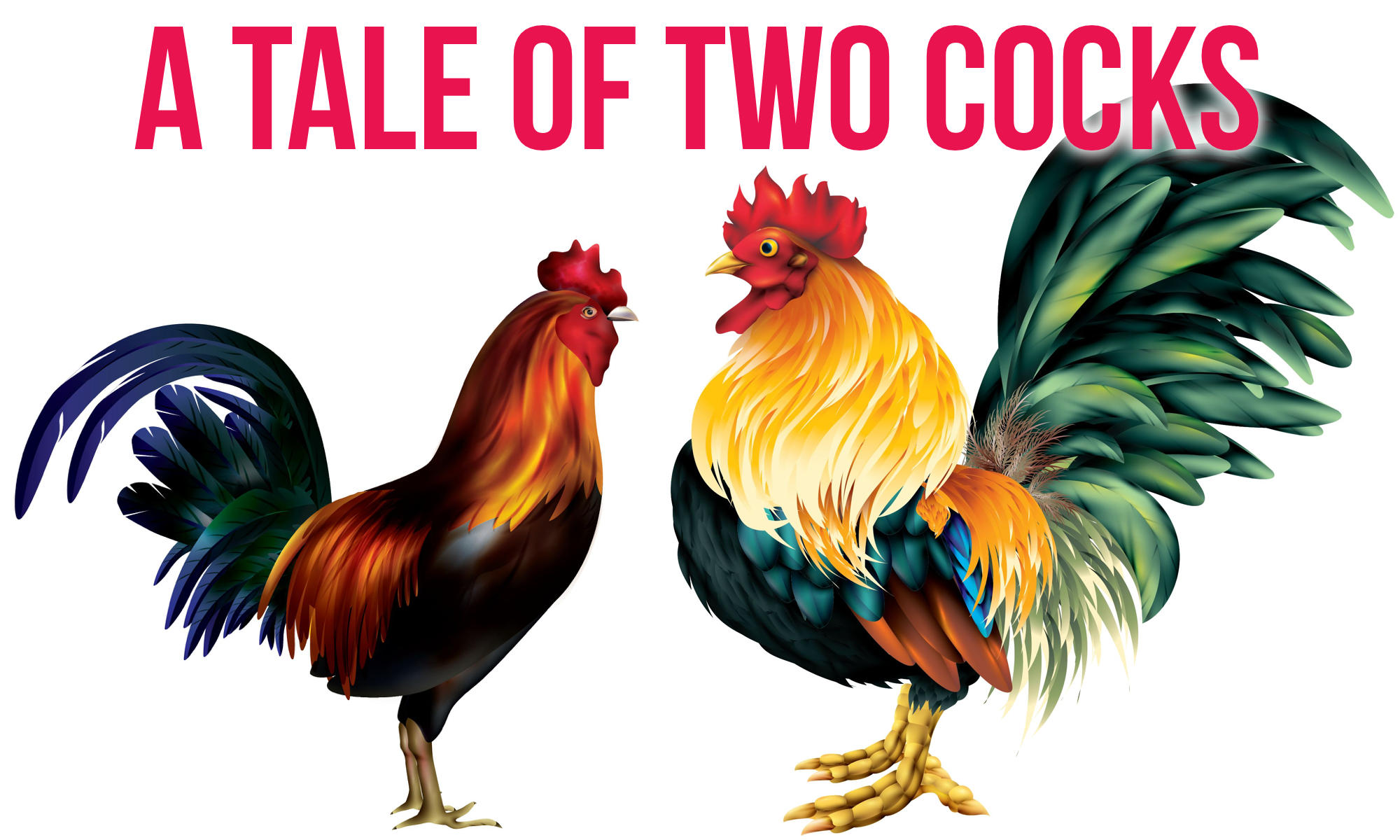 A Tale Of Two Cocks • Dating Kinky