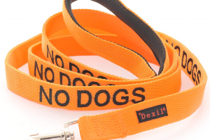 A bright orange dog leash that says "No dogs."